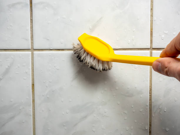 Best Localized Mold Remediation (e.g., coastal areas, humid climates) in Lake Sherwood, CA