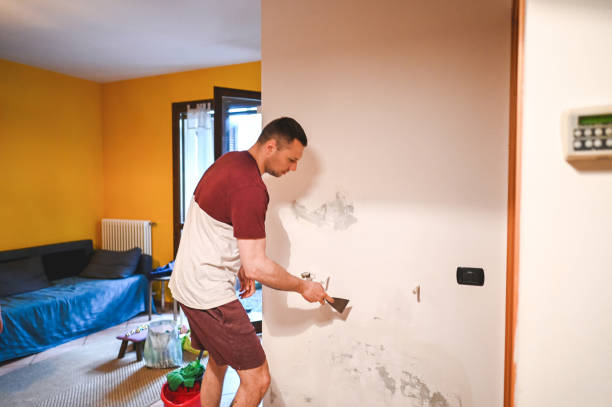 Best Industrial Mold Remediation in Lake Sherwood, CA